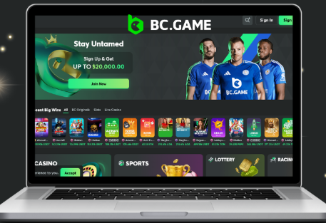 Exploring The Thrill Of Online Gambling With Bc Game